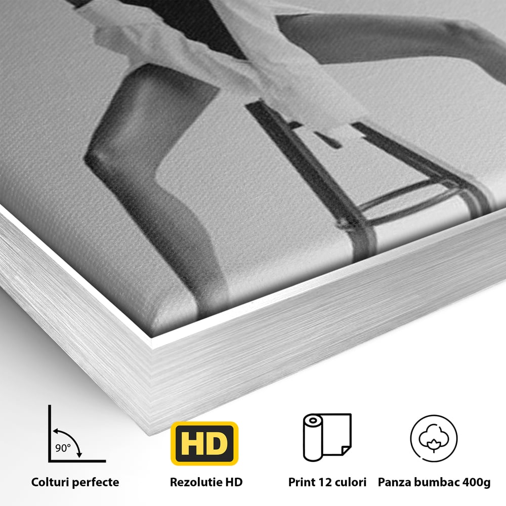 Detaliu al suprafetei: tablou canvas cu femeie pe scaun, in rama de aluminiu argintiu